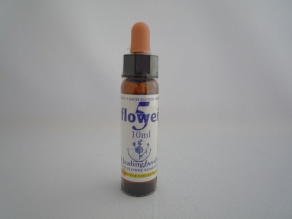 画像1: FIVE FLOWER REMEDY　ファイブフラワーレメディ- (1)