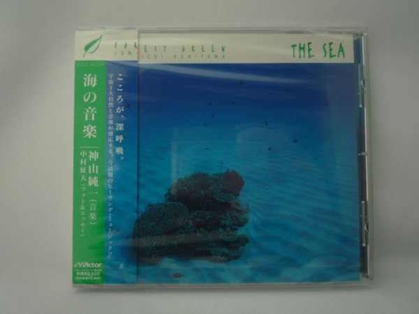 画像1: 神山純一　海の音楽 (1)